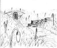 Mossy Path